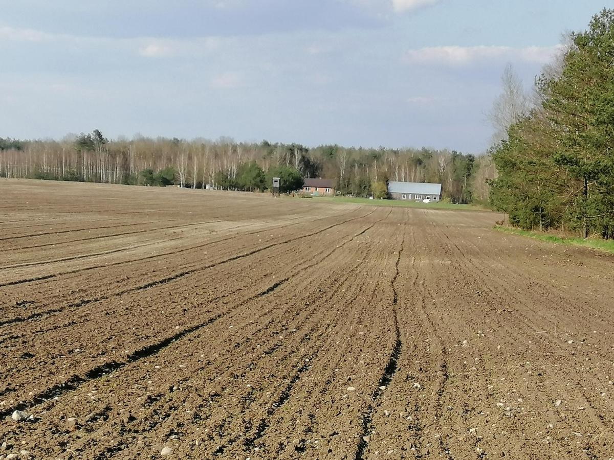Agroturystyka Pod Dobrymi Skrzydlami Wiski Exteriér fotografie