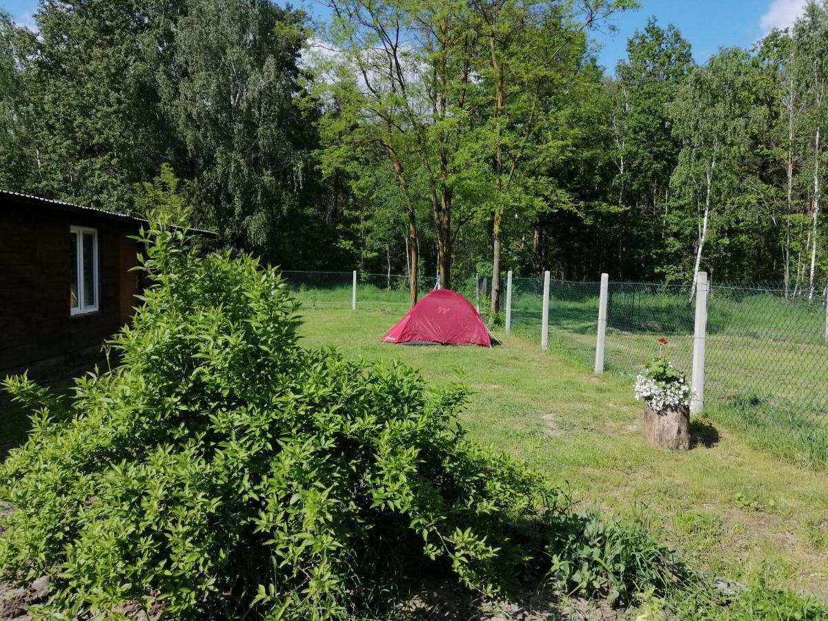 Agroturystyka Pod Dobrymi Skrzydlami Wiski Exteriér fotografie