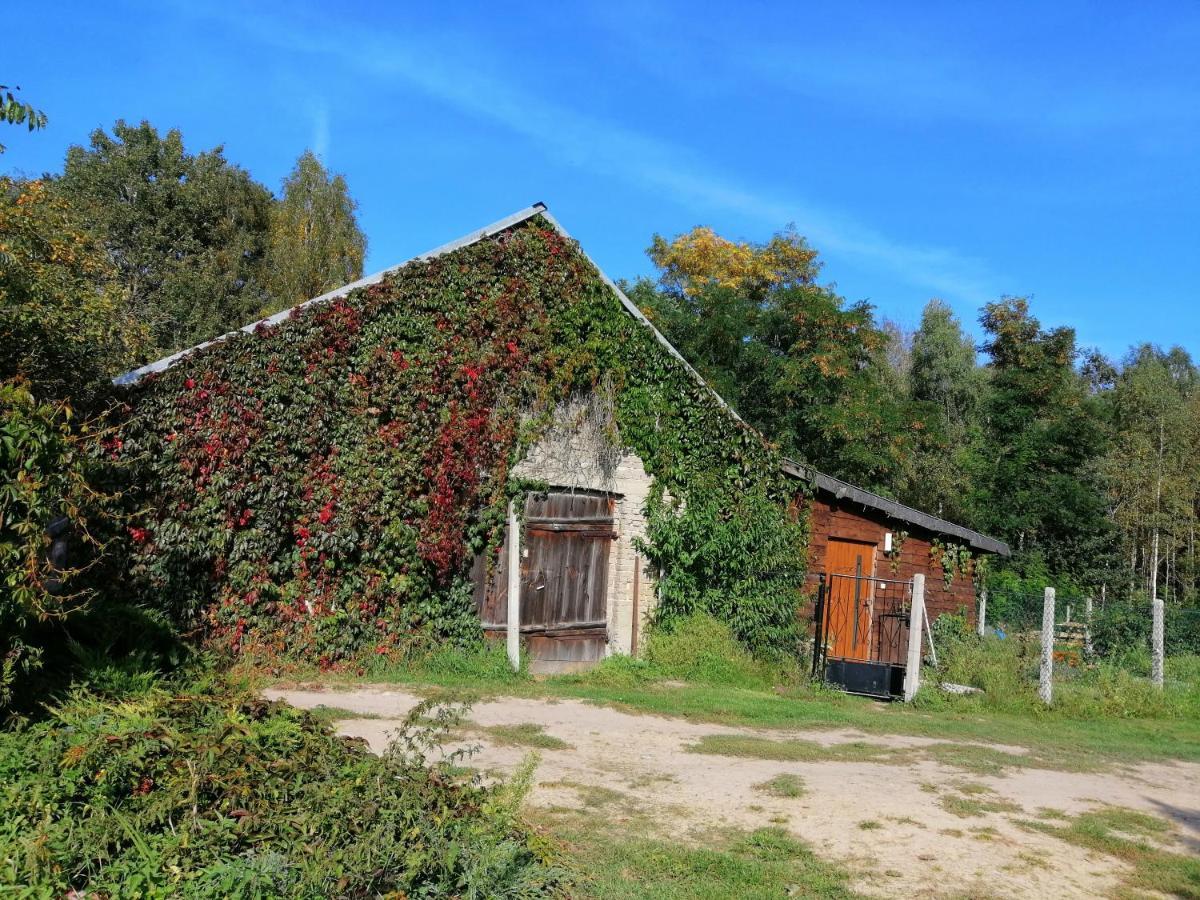 Agroturystyka Pod Dobrymi Skrzydlami Wiski Exteriér fotografie